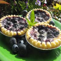 Blueberry Butter Tarts_image