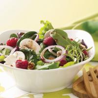 Summer Salad with Lemon Vinaigrette image