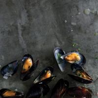 Steamed Mussels in White Wine image