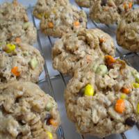 Indian Sunflower Cookies_image