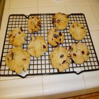 Macadamia Butter Cookies With Dried Cranberries image