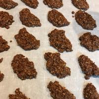 Unbaked Chocolate Oatmeal Cookies image