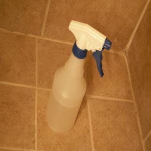 Tile and Grout Cleaner_image
