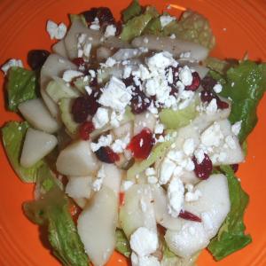 Autumn Bitter/Sweet Salad With Cranberry Vinaigrette_image
