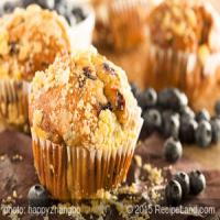 Applesauce-Blueberry Muffins_image