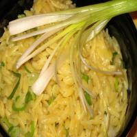 Orzo Pilaf With Green Onion and Parmesan image