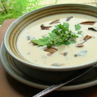 Wild Mushroom and Buttermilk Soup image