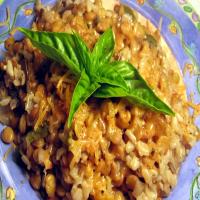 Lentil Casserole With White Wine_image