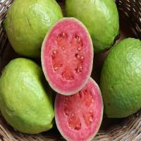 Cuban style Guava Jam_image