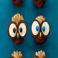 Owl Cupcakes_image