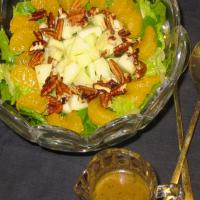 Spinach/Romaine Salad With Poppy Seed Dressing & Mandarin Or image