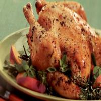 Grilled Herb Chicken_image