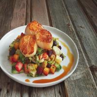 Scallops and Apple Gastrique_image