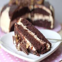 Chocolate Peanut Butter Cake image