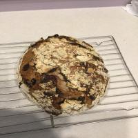 Cranberry Walnut Bread Recipe -- No Knead & Cast Iron Cooked image