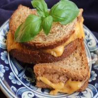 Toasted Grilled Cheese Sandwich_image