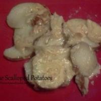 Blue Cheese Scalloped Potatoes_image