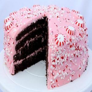 Chocolate Fudge Cake with Pink Peppermint Cream Cheese Frosting_image