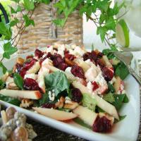 Cranberry Apple-Spinach Salad_image