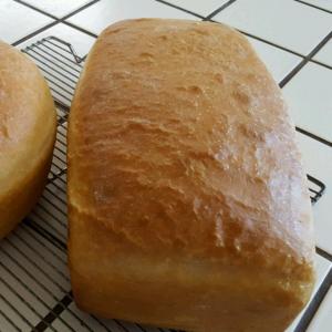 Crusty White Bread_image