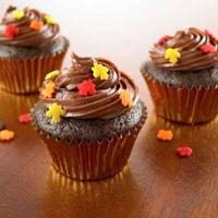Double Chocolate Cinnamon Mini Cupcakes_image
