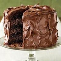 FUDGY CHOCOLATE CAKE_image