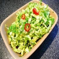 Spicy Cabbage Salad image