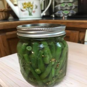 Pickled Green Beans (Dilly Beans)_image