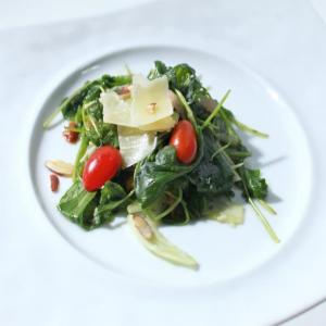 Arugula and Fennel Salad with Lemon-Herb Vinaigrette_image