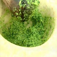Pesto with Basil and Parsley_image
