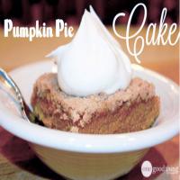 Better Than Pumpkin Pie Recipe - (4.5/5)_image
