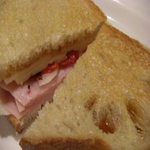 Grilled Turkey and Swiss Panini Sandwich image
