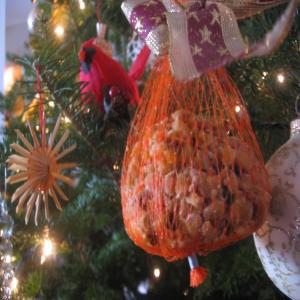 Suet Balls for Birds (For Christmas)_image