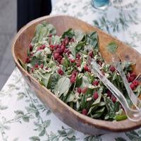Raspberry and Spinach Salad image