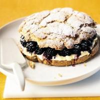 Blackberry & clotted cream shortcake image