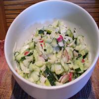 Rock {radish,onion,cucumber,kohlrabi} Salad image