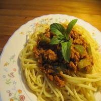 Spaghetti With Easy Textured Vegetable Protein Sauce_image