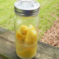 How to Make Preserved Lemons_image