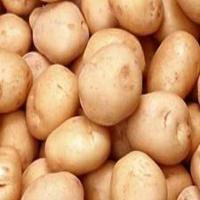 Potato Soup Mix in a Jar_image