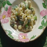 Sarasota's ... --This is Grandma's Tuna Macaroni Salad--_image