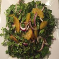 Watercress, Orange and Red Onion Salad image