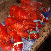 Maine Boiled Lobsters image