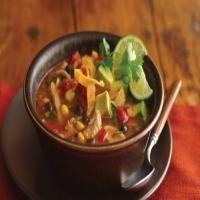Slow-Cooker Mexican Fire Roasted Tomato-Chicken Soup_image