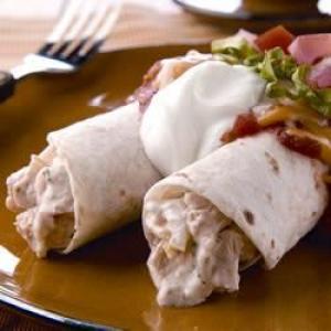 Creamy Chicken and Sour Cream Enchiladas_image