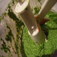 Spinach Garlic Pesto image