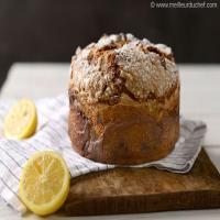 Candied Fruit Panettone_image