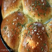 Buttered Rosemary Rolls Recipe - (4.6/5)_image