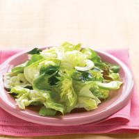 Bibb Salad with Celery and Parsley_image