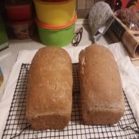 Walnut Whole Wheat Bread image