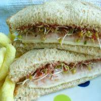 Easy Crunchy Healthy Sandwich_image